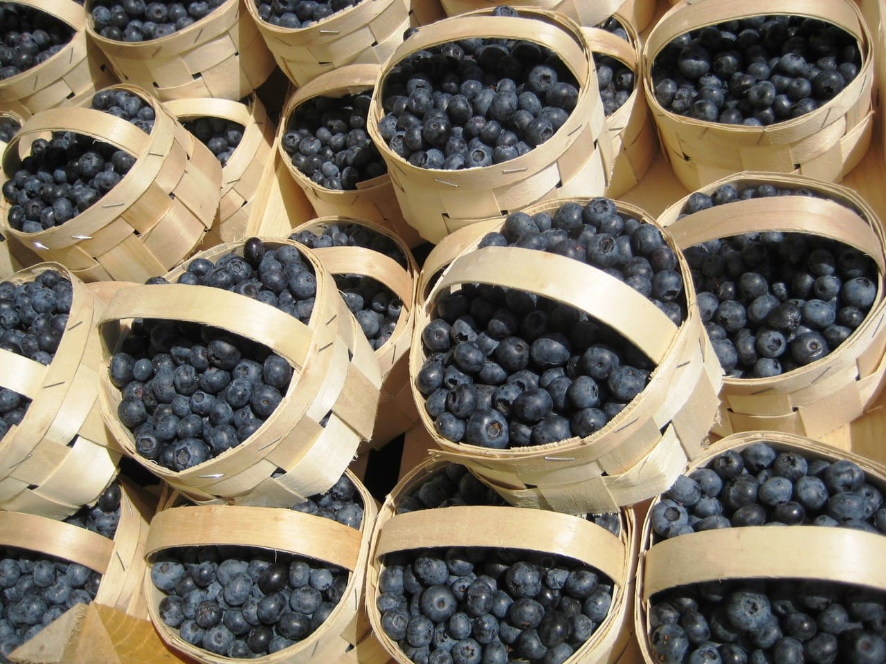 asmitha fruit shop in karaikudi