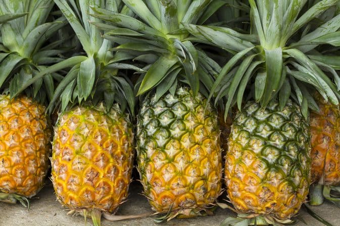 asmitha fruit shop in karaikudi
