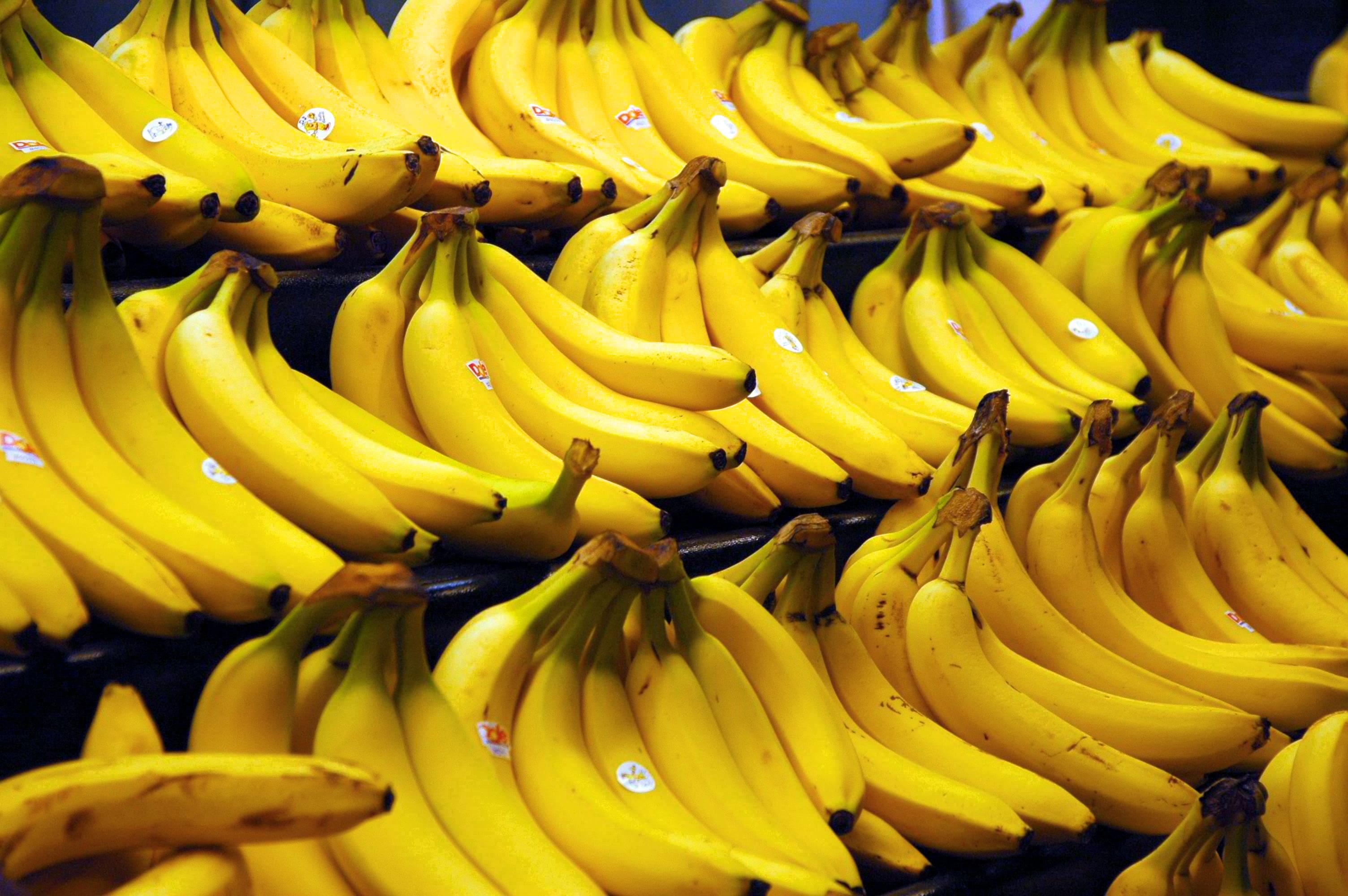 asmitha fruit shop in karaikudi
